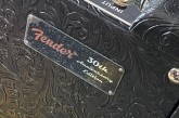 Fender Blues Junior 30th Anniversary-9.jpg